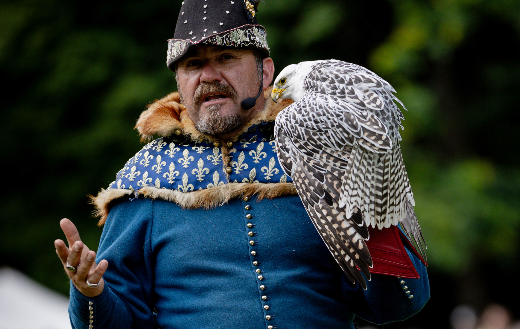 Reenactor | Sokolník